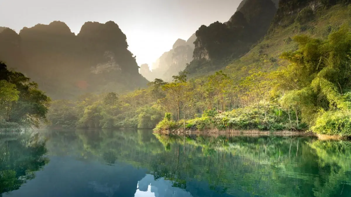 稳定性智能高效